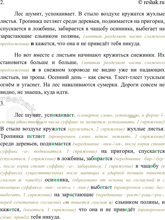 Дополнительное изображение